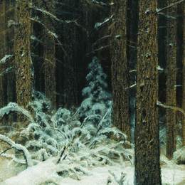 《冬天》伊万·希什金(Ivan Shishkin)高清作品欣赏