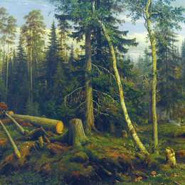 《登录中》伊万·希什金(Ivan Shishkin)高清作品欣赏