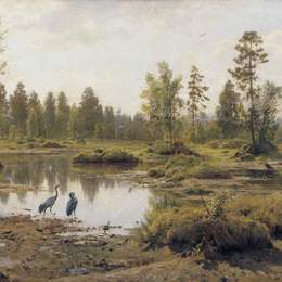 《沼泽。波利西亚》伊万·希什金(Ivan Shishkin)高清作品欣赏