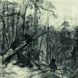 《清晨的松林》伊万·希什金(Ivan Shishkin)高清作品欣赏