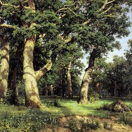 《橡树林》伊万·希什金(Ivan Shishkin)高清作品欣赏