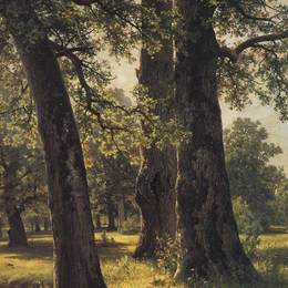 《橡树》伊万·希什金(Ivan Shishkin)高清作品欣赏