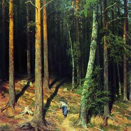 《松林》伊万·希什金(Ivan Shishkin)高清作品欣赏