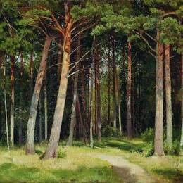 《松林》伊万·希什金(Ivan Shishkin)高清作品欣赏