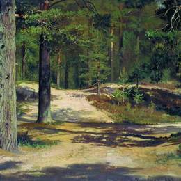 《松林》伊万·希什金(Ivan Shishkin)高清作品欣赏