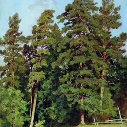 《松林》伊万·希什金(Ivan Shishkin)高清作品欣赏