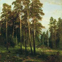 《松林》伊万·希什金(Ivan Shishkin)高清作品欣赏