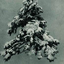 《雪中的松树》伊万·希什金(Ivan Shishkin)高清作品欣赏