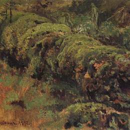 《腐朽的木头，覆盖着苔藓》伊万·希什金(Ivan Shishkin)高清作品欣赏