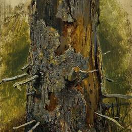 《树干上的树皮》伊万·希什金(Ivan Shishkin)高清作品欣赏