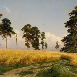 《麦田》伊万·希什金(Ivan Shishkin)高清作品欣赏