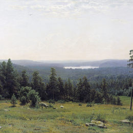 《森林地平线》伊万·希什金(Ivan Shishkin)高清作品欣赏