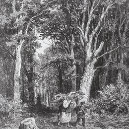 《森林之路》伊万·希什金(Ivan Shishkin)高清作品欣赏