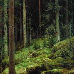 《灌丛》伊万·希什金(Ivan Shishkin)高清作品欣赏