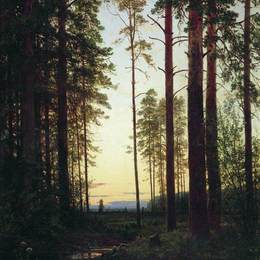 《暮光》伊万·希什金(Ivan Shishkin)高清作品欣赏