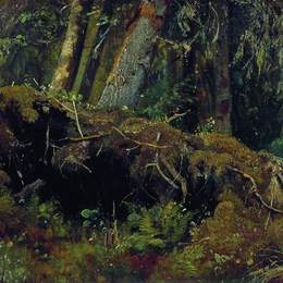 《风倒树》伊万·希什金(Ivan Shishkin)高清作品欣赏