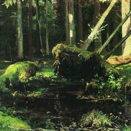 《风倒树》伊万·希什金(Ivan Shishkin)高清作品欣赏