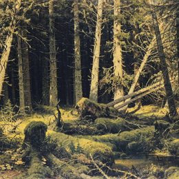 《风倒树》伊万·希什金(Ivan Shishkin)高清作品欣赏
