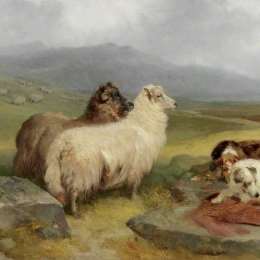 《羊与羊的高原景观》詹姆斯·坎贝尔·诺布尔(James Campbell Noble)高清作品欣赏