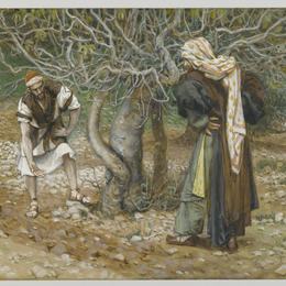 《藤梳妆台和无花果树》詹姆斯·天梭(James Tissot)高清作品欣赏