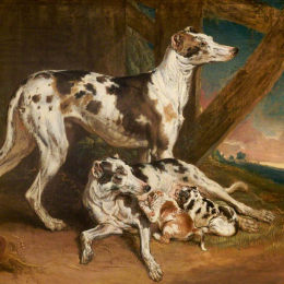 《达尔马提亚犬》詹姆斯·沃德(James Ward)高清作品欣赏