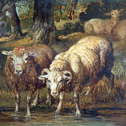 《溪流羊》詹姆斯·沃德(James Ward)高清作品欣赏