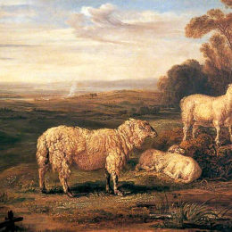 《堕落的绵羊》詹姆斯·沃德(James Ward)高清作品欣赏