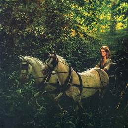 《然后深入峡谷》杰米·韦思(Jamie Wyeth)高清作品欣赏