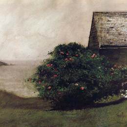 《岛屿玫瑰》杰米·韦思(Jamie Wyeth)高清作品欣赏