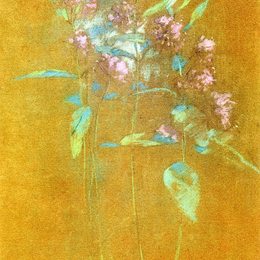 《野花》约翰·亨利·特瓦克特曼(John Henry Twachtman)高清作品欣赏