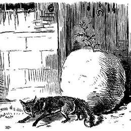 《赞美之季》约翰·里奇(John Leech)高清作品欣赏