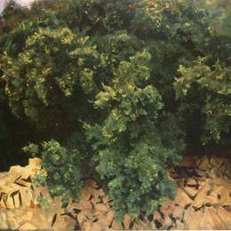 约翰·辛格·萨金特(John Singer Sargent)高清作品:Ilex Wood, Majorca