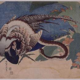 《雉蛇》葛饰北斋(Katsushika Hokusai)高清作品欣赏