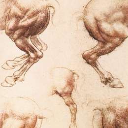 《马学》达·芬奇(Leonardo da Vinci)高清作品欣赏