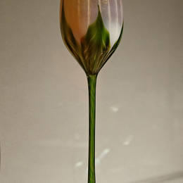 《花形檐口》蒂凡尼(Louis Comfort Tiffany)高清作品欣赏