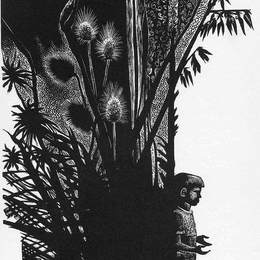 《无花男孩》林德·沃德(Lynd Ward)高清作品欣赏