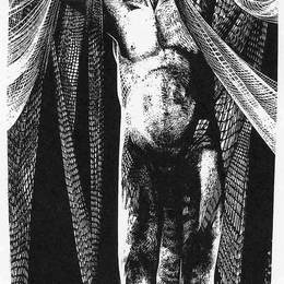 《网》林德·沃德(Lynd Ward)高清作品欣赏