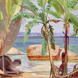 玛丽安娜·诺斯(Marianne North)高清作品:Bananas and Rocks at Paquet&amp;ampá, Brazil