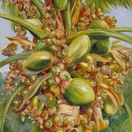 玛丽安娜·诺斯(Marianne North)高清作品:Female Coco de Mer Bearing Fruit Covered with Small Green Li