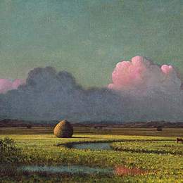 《阳光与阴影：纽伯里沼泽》马丁·约翰逊·赫德(Martin Johnson Heade)高清作品欣赏