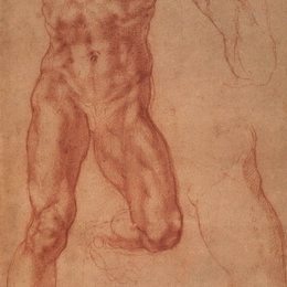 《哈曼研究》米开朗基罗(Michelangelo)高清作品欣赏