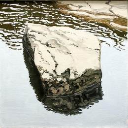 《扁卵石反射研究》尼尔·韦利弗(Neil Welliver)高清作品欣赏