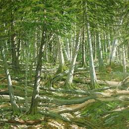 《古老的意外收获》尼尔·韦利弗(Neil Welliver)高清作品欣赏