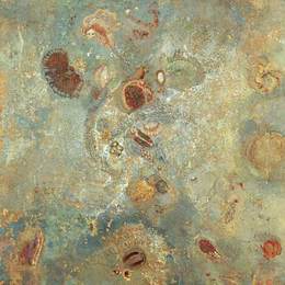 《水下视觉》奥迪隆·雷东(Odilon Redon)高清作品欣赏