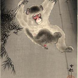 《猴子从竹枝上荡秋千，观察苍蝇》小原古邨(Ohara Koson)高清作品欣赏