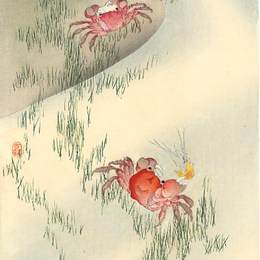 《蟹》小原古邨(Ohara Koson)高清作品欣赏