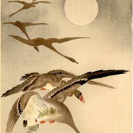 《飞行中有八只白雁?满月后面》小原古邨(Ohara Koson)高清作品欣赏