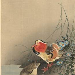 《鸳鸯》小原古邨(Ohara Koson)高清作品欣赏