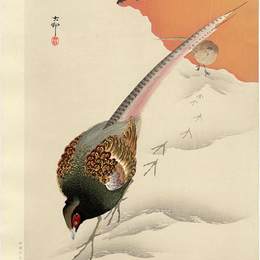 《雪地上的一对雉鸡》小原古邨(Ohara Koson)高清作品欣赏