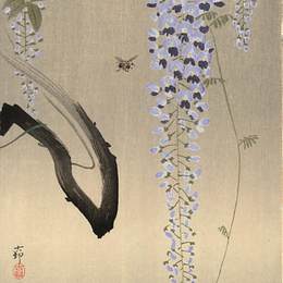 《紫藤与蜜蜂》小原古邨(Ohara Koson)高清作品欣赏